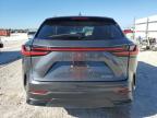 2025 Lexus Nx 250 Base for Sale in Arcadia, FL - Side