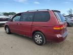 2003 Honda Odyssey Exl للبيع في San Martin، CA - Rear End