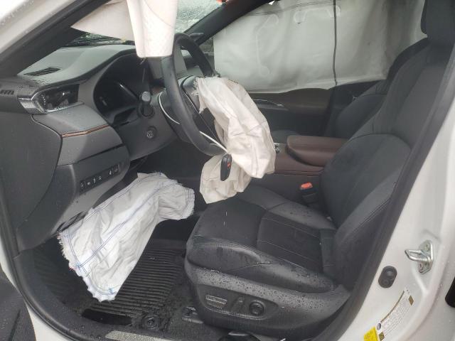  TOYOTA VENZA 2024 Biały