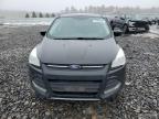 2015 Ford Escape Se for Sale in Windham, ME - Side