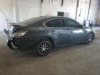 2013 Nissan Maxima S for Sale in Lexington, KY - Rear End