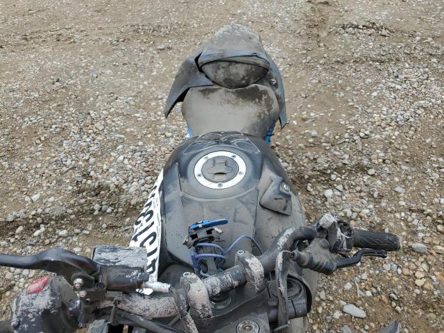  SUZUKI GSX800 R 2024 Два тони