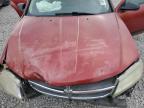 2009 Dodge Avenger Sxt за продажба в Memphis, TN - Front End