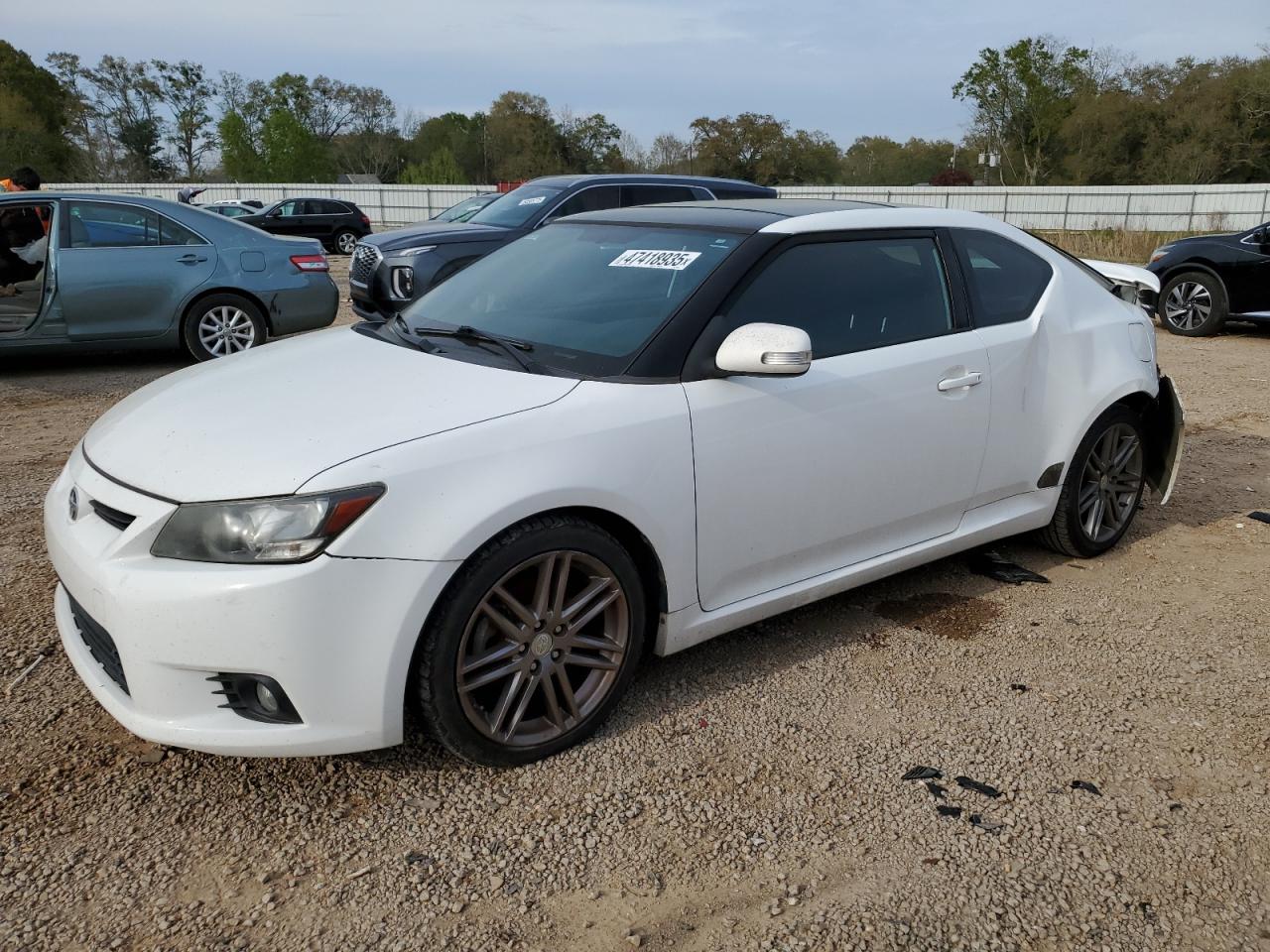 2012 Toyota Scion Tc for Sale in Theodore, AL - Rear End