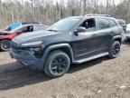 2017 JEEP CHEROKEE TRAILHAWK à vendre chez Copart ON - COOKSTOWN