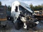 Madisonville, TN에서 판매 중인 2019 Freightliner Cascadia 126  - Rollover