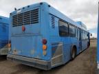 2009 El Dorado Axess продається в Brighton, CO - Rear End