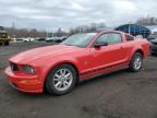 East Granby, CT에서 판매 중인 2007 Ford Mustang  - Rear End