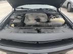 2019 Dodge Challenger Sxt for Sale in Leroy, NY - Side