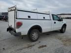 2011 Ford F150  for Sale in Tulsa, OK - Rear End
