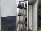 2019 Bison Horse Trailer for Sale in Sacramento, CA - All Over