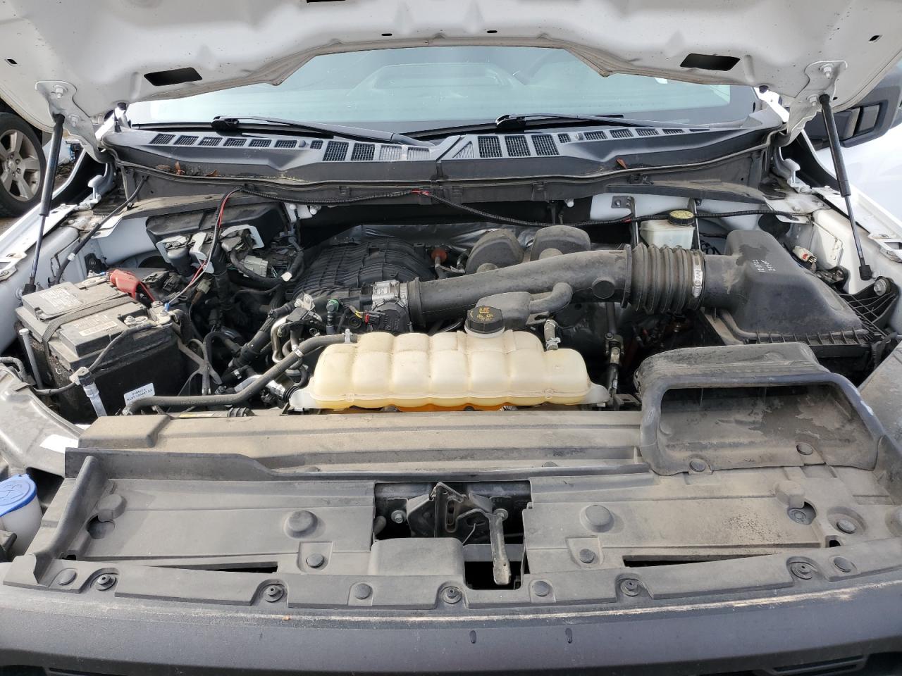 1FTEX1CB7MKD83515 FORD F-150 2021