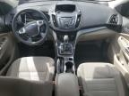 Bakersfield, CA에서 판매 중인 2013 Ford Escape Se - Minor Dent/Scratches