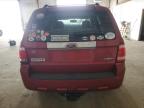 2008 Ford Escape Limited for Sale in Lexington, KY - Front End