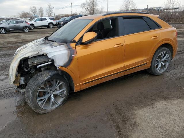 AUDI Q8 PROGRES 2022