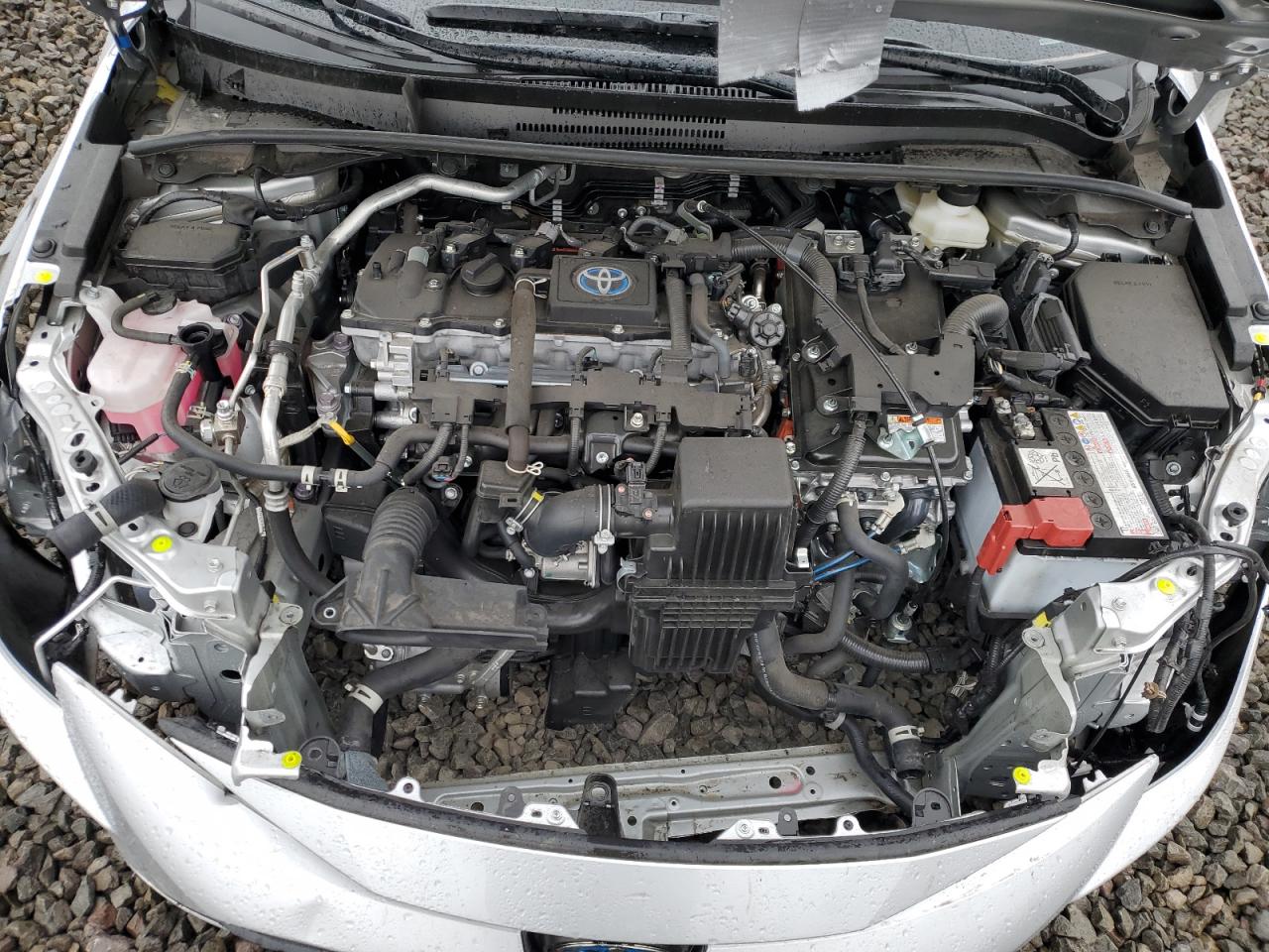 2024 Toyota Corolla - Image 11