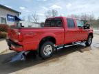 2008 Ford F250 Super Duty na sprzedaż w Louisville, KY - Hail
