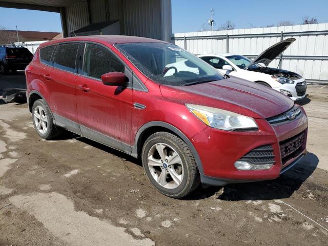  FORD ESCAPE 2013 Maroon