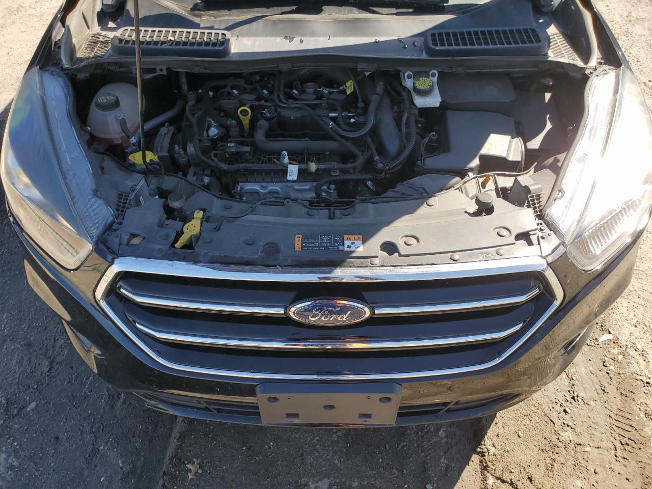 1FMCU9GD6KUB07303 FORD ESCAPE 2019