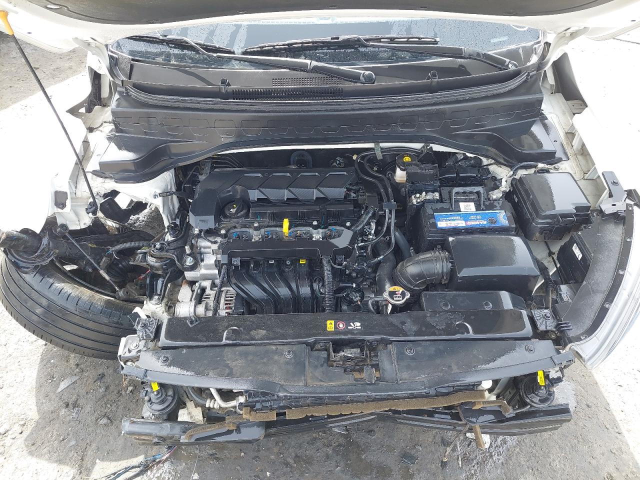 MZBFC8144PN291156 - 2023 Kia Sonet - #47328865