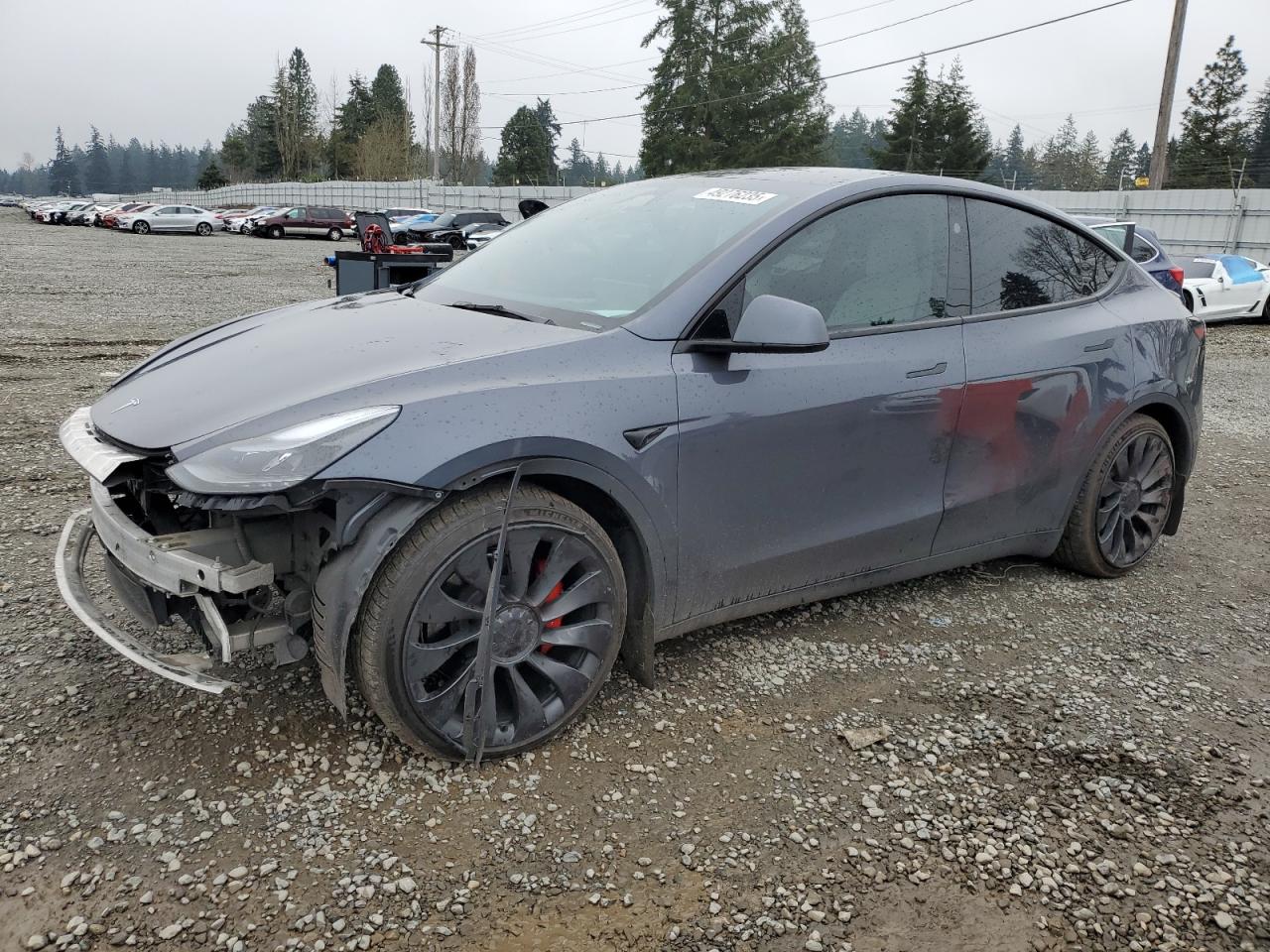 2023 Tesla Model Y for Sale in Graham, WA - Front End