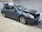 Candia, NH에서 판매 중인 2008 Nissan Maxima Se - Front End