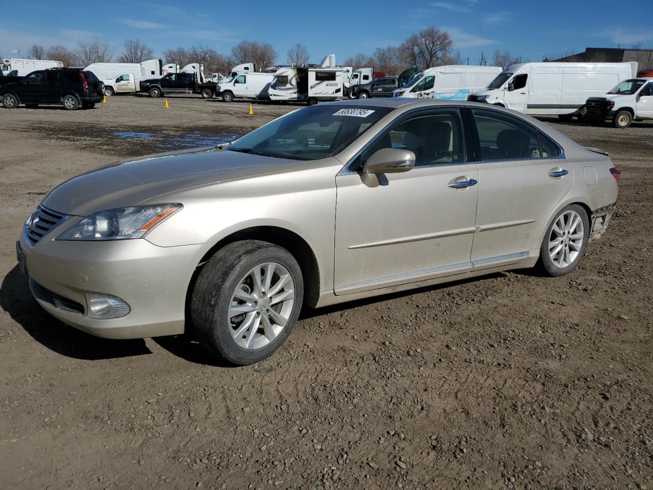 2010 Lexus Es 350 zu verkaufen in Billings, MT - All Over