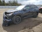 2020 TOYOTA RAV4 XLE à vendre chez Copart ON - TORONTO