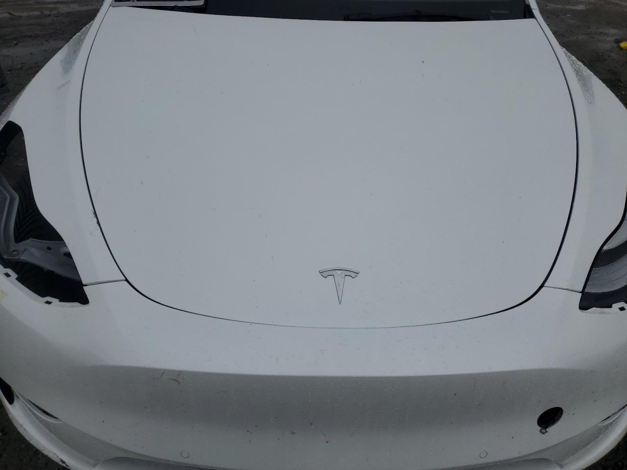 2022 Tesla Model Y VIN: 7SAYGDEE0NF347611 Lot: 49895625