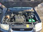 2004 Ford Escape Xlt zu verkaufen in American Canyon, CA - Front End