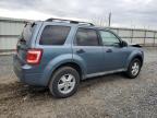 2010 Ford Escape Xlt за продажба в Hillsborough, NJ - Front End