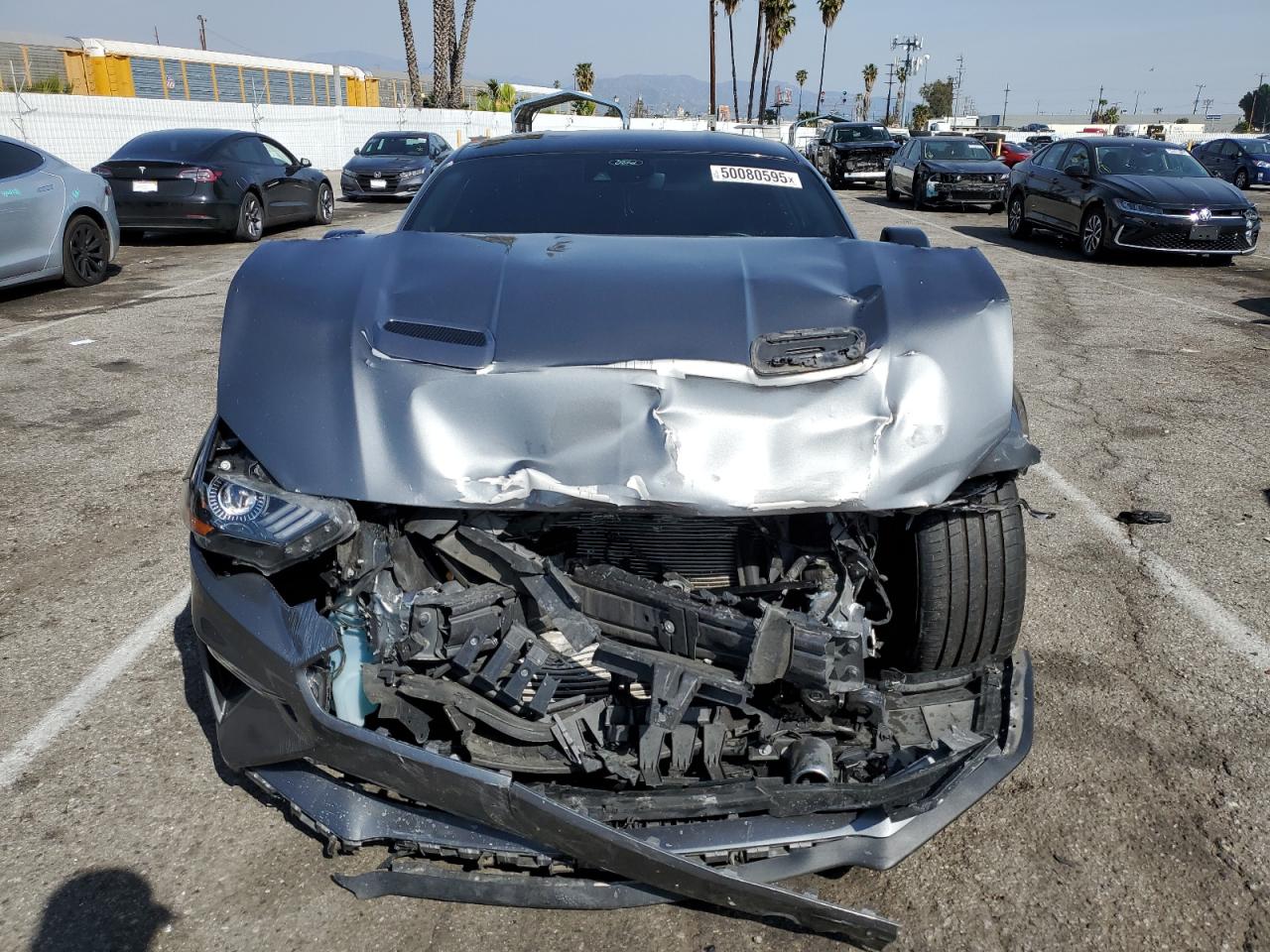 1FA6P8TH8M5146344 FORD ALL Models 2021