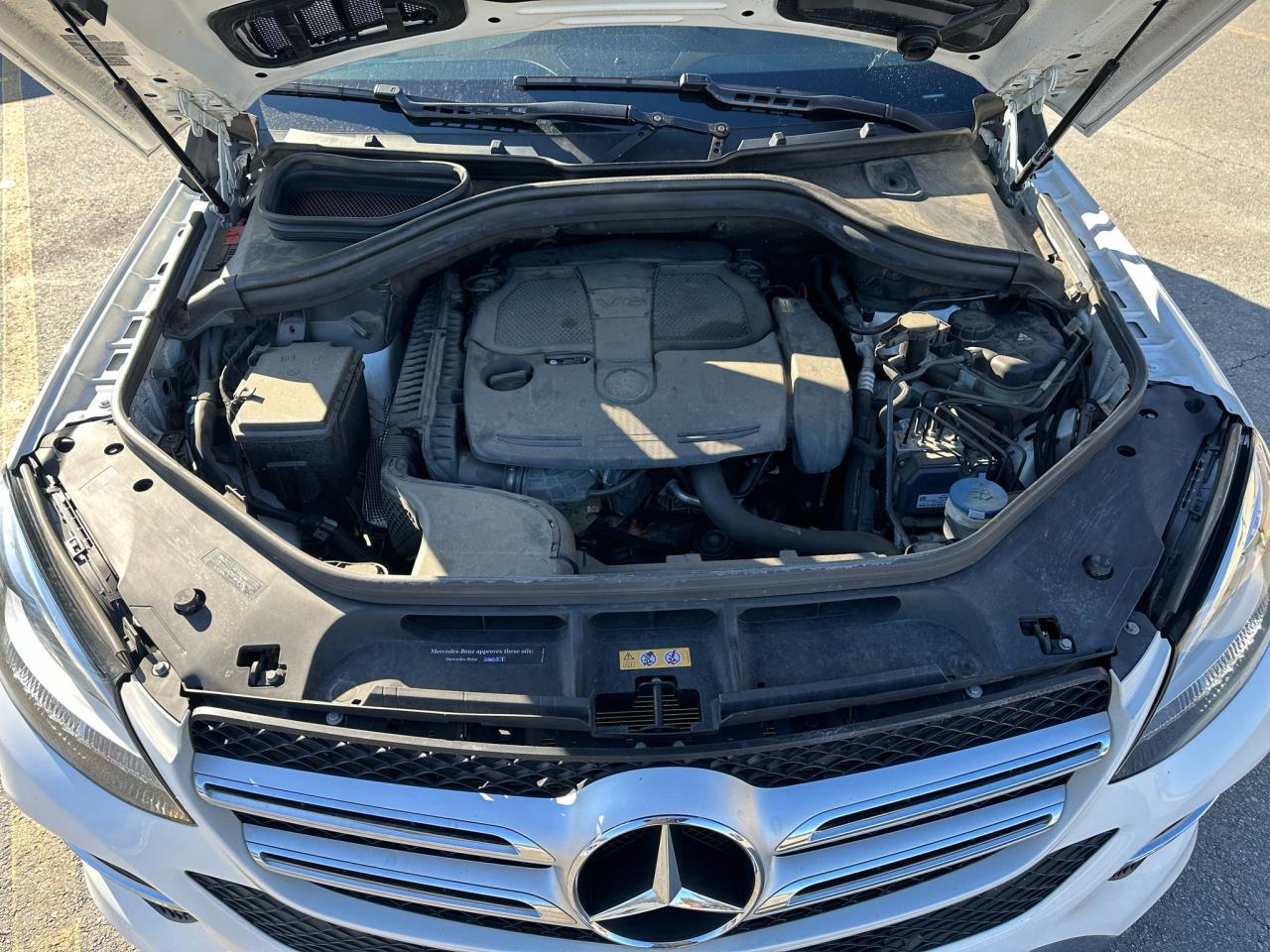 GLE GLE