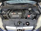 2008 Honda Cr-V Ex იყიდება Baltimore-ში, MD - Minor Dent/Scratches