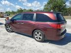 2018 Honda Odyssey Exl for Sale in Fort Pierce, FL - Front End