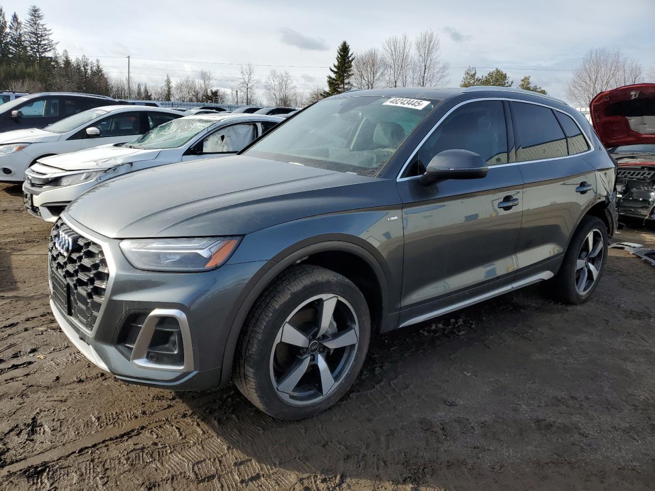2024 Audi Q5 Premium Plus 45 იყიდება Bowmanville-ში, ON - Side