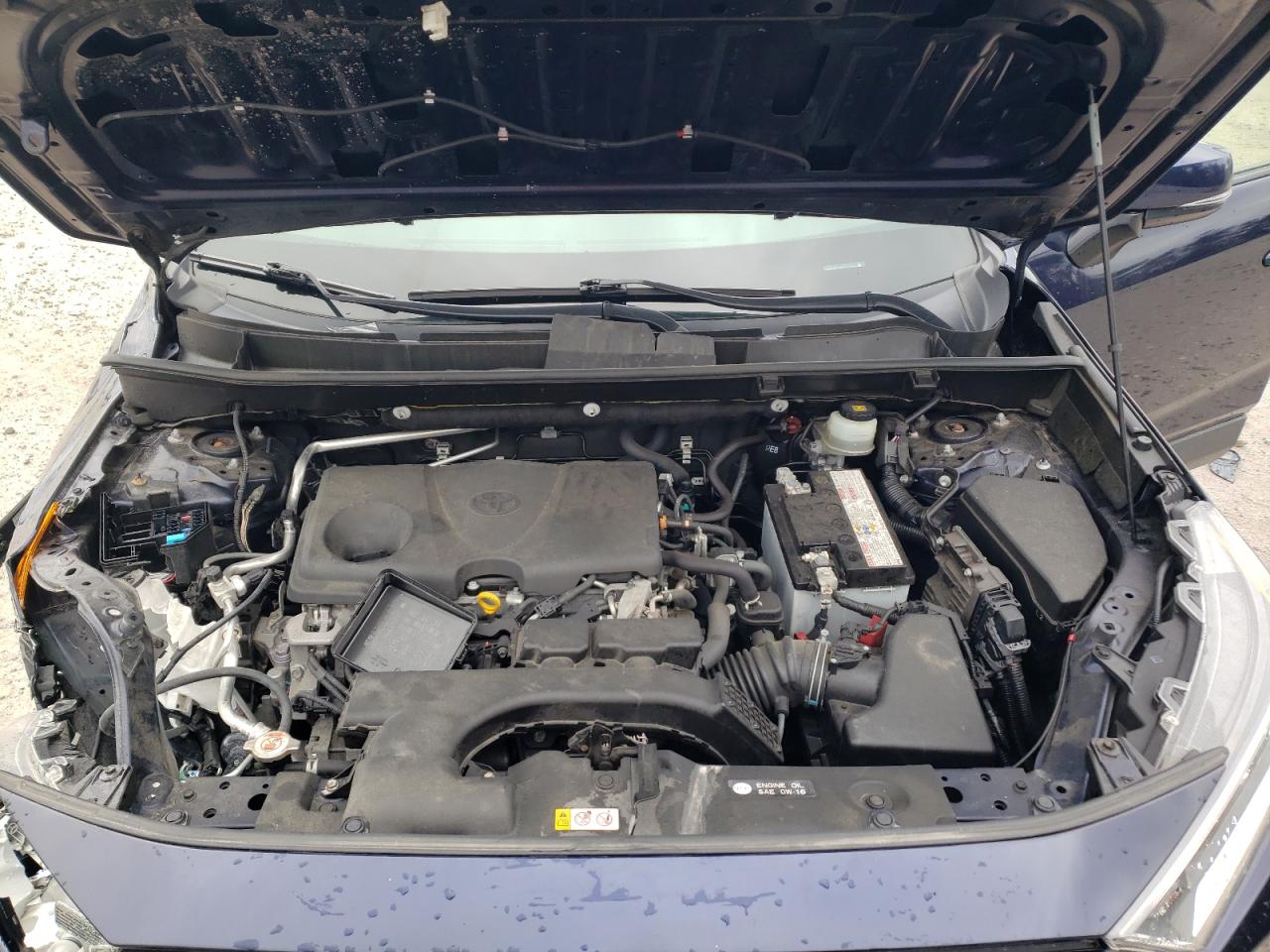 JTMP1RFV4KD032402 TOYOTA RAV4 2019