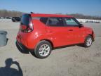 Gastonia, NC에서 판매 중인 2025 Kia Soul Lx - All Over