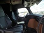 Abilene, TX에서 판매 중인 2020 Freightliner Cascadia 126 Semi Truck - Side