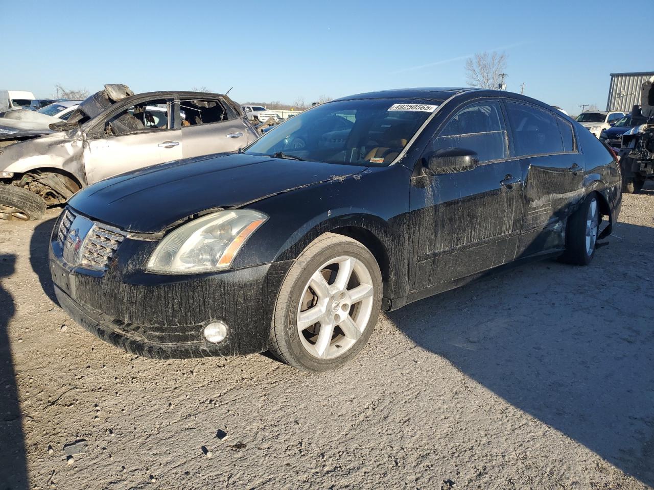 2004 Nissan Maxima - Image 1