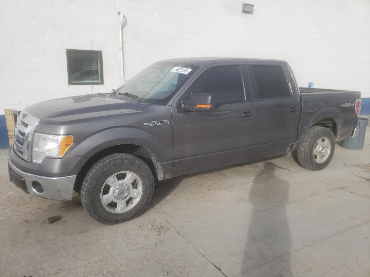 2010 Ford F-150 - Image 1