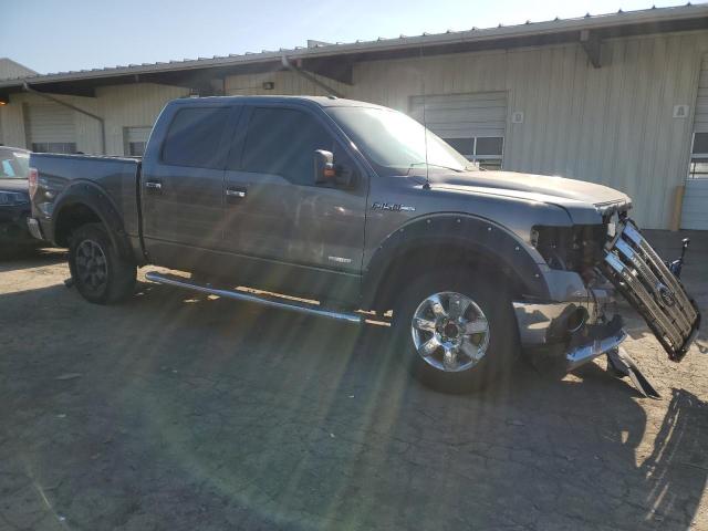  FORD F-150 2013 Сив