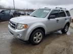 2009 Ford Escape Xlt for Sale in Louisville, KY - Hail