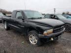 2001 Dodge Dakota  на продаже в Hillsborough, NJ - Front End