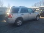 2011 Ford Escape Xlt იყიდება Arlington-ში, WA - Minor Dent/Scratches