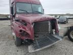 2020 Freightliner Cascadia 125 Semi Truck zu verkaufen in Earlington, KY - Front End