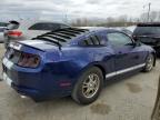 2013 Ford Mustang  for Sale in Louisville, KY - Front End