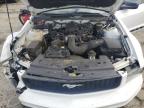 2005 Ford Mustang  na sprzedaż w Martinez, CA - Front End