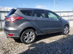 2013 Ford Escape Sel на продаже в Columbus, OH - Normal Wear