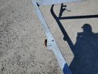 2012 'Other Boat' Other იყიდება Lumberton-ში, NC - All Over